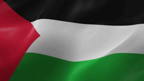 free palestine
